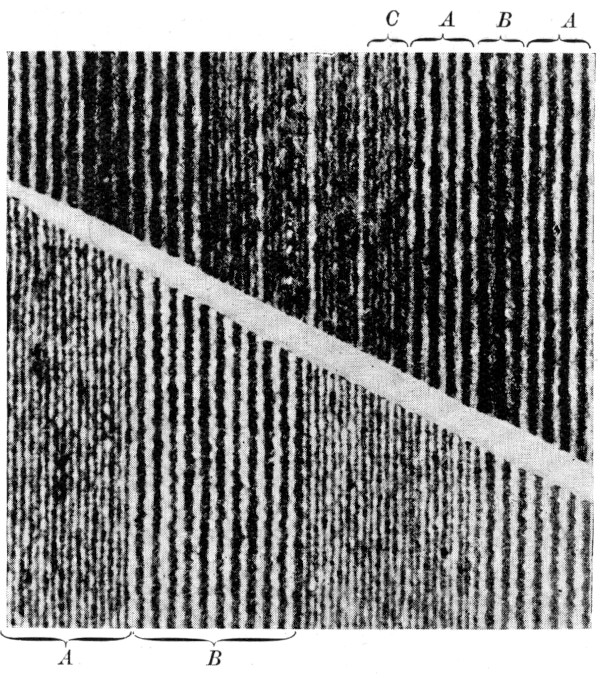 hairline pattern