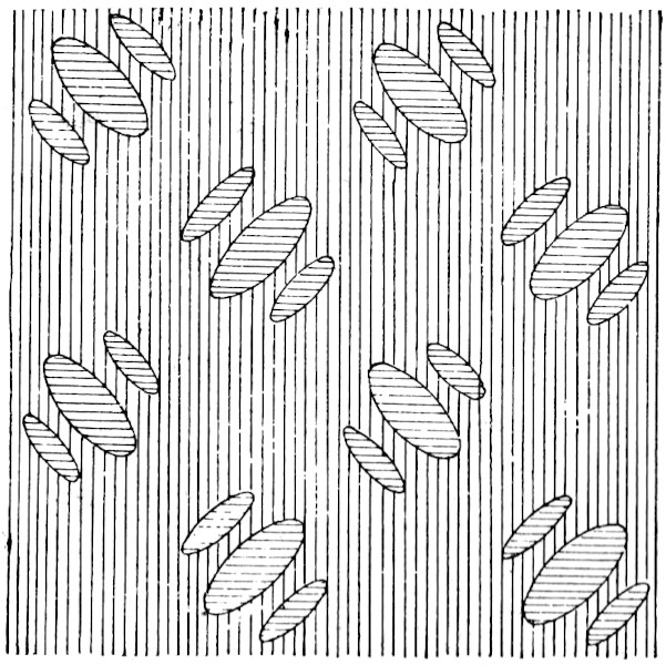 Spotted design