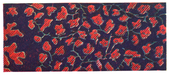 Figured Pattern