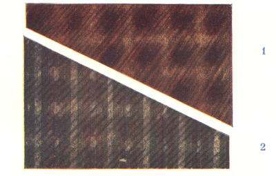 check patterns
