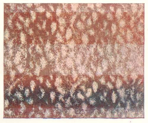 Velvet finish