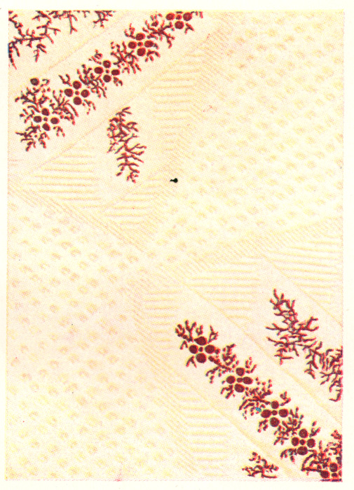 Quilting texture