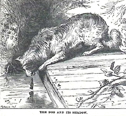 image019