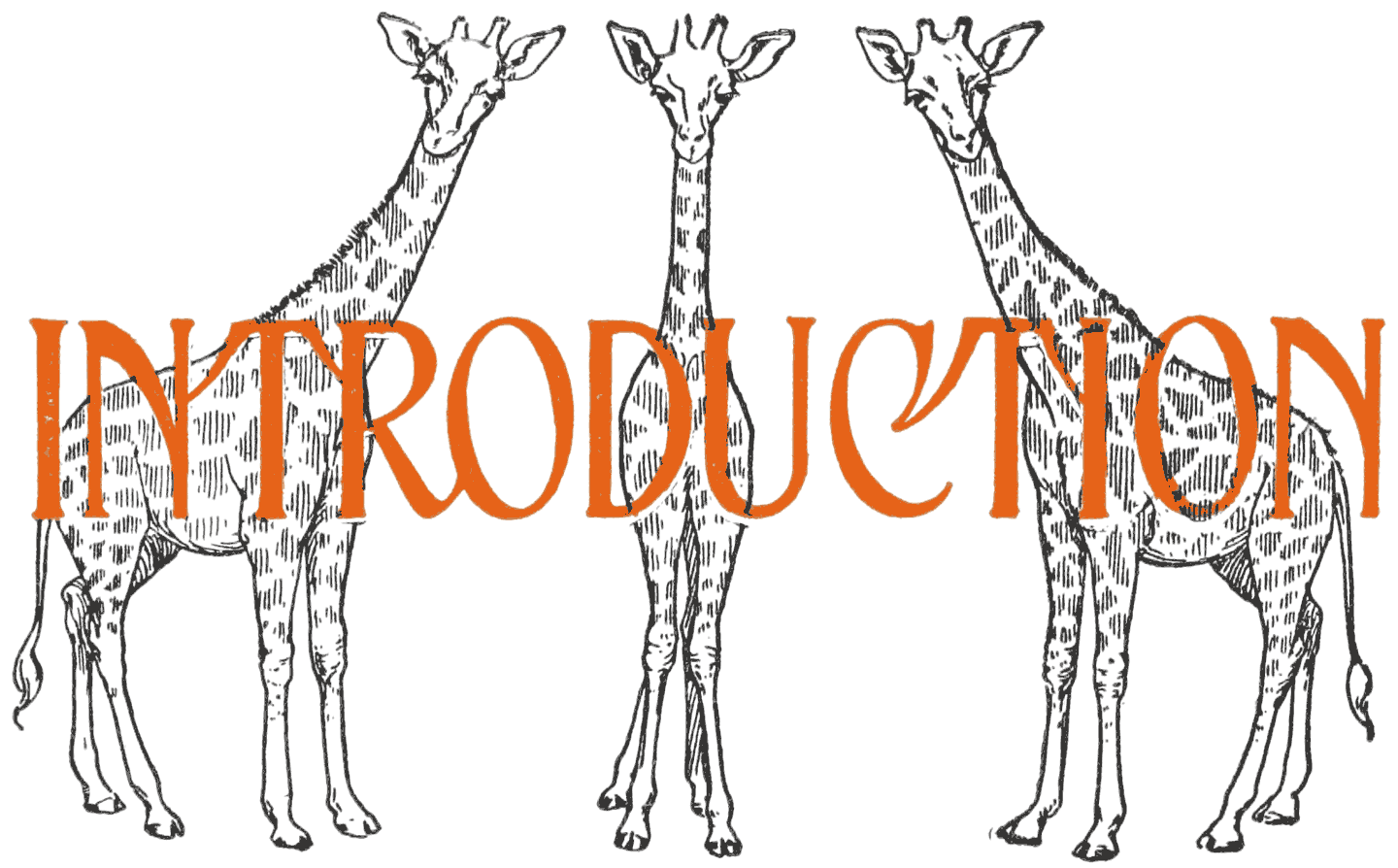 INTRODUCTION
