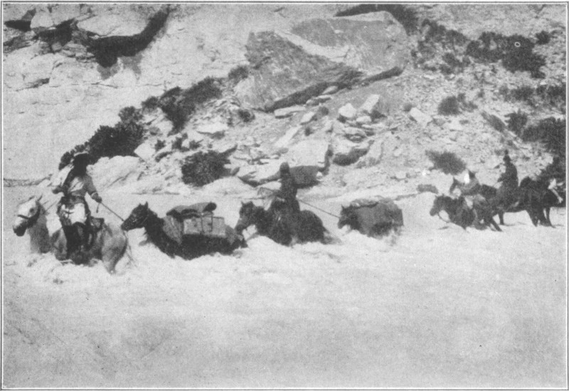 Pack-ponies carrying men and equipment wading through deep water, with the side of a mountain in the background.