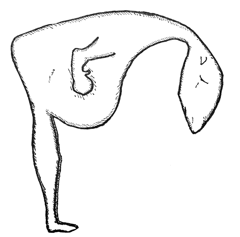 QUEEK