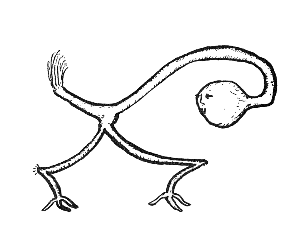 SQUILLY-WIGGLE