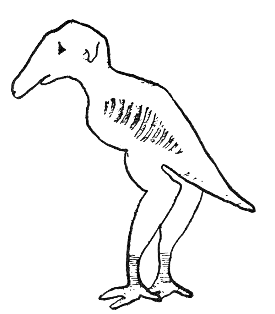 SKOONK