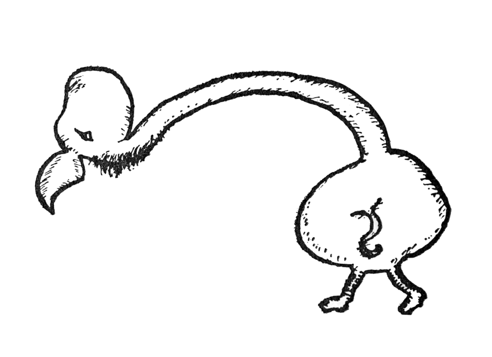 SPINICUM