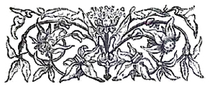 image011