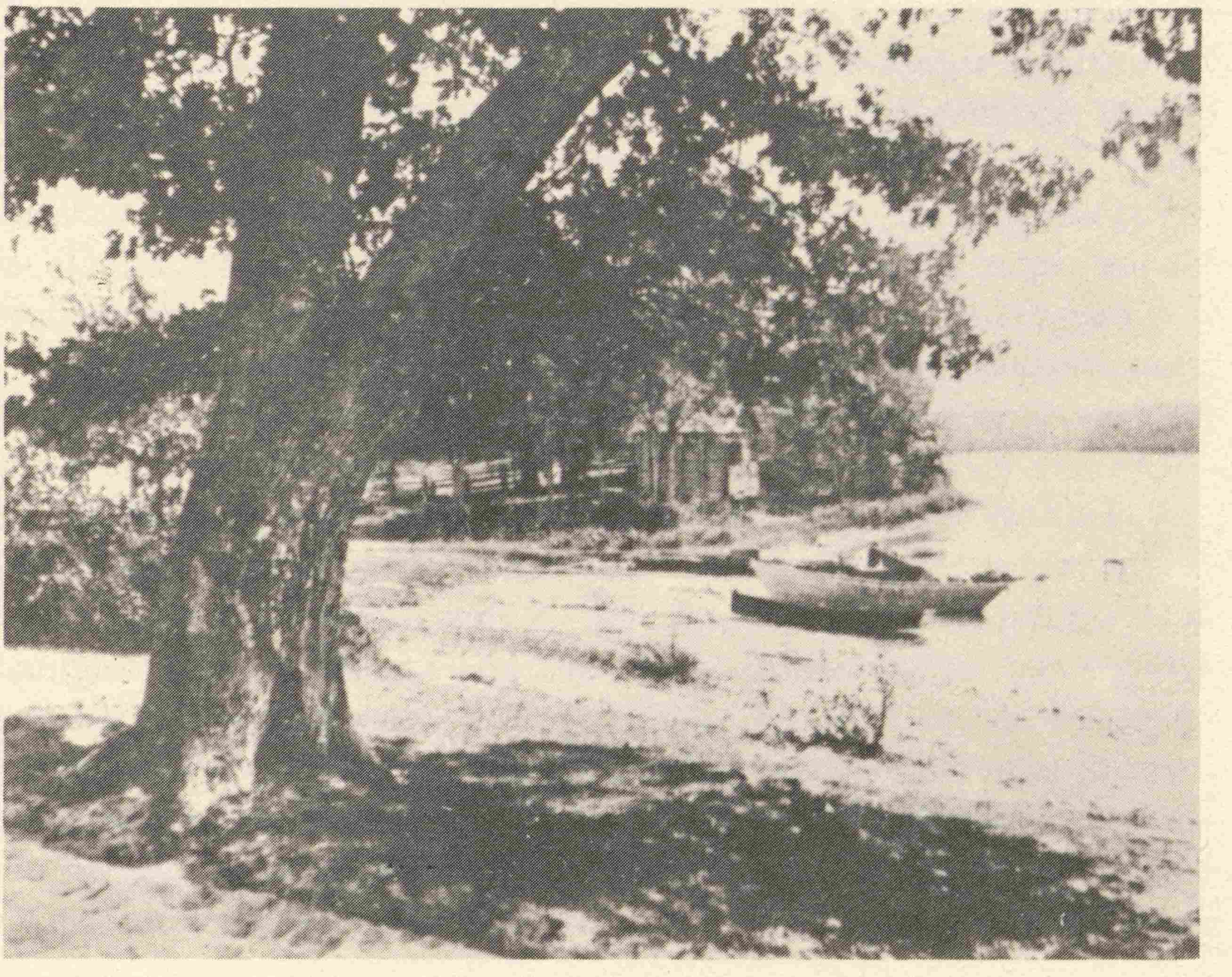 Rear View of House, Ice House on Pond, c. 1880 