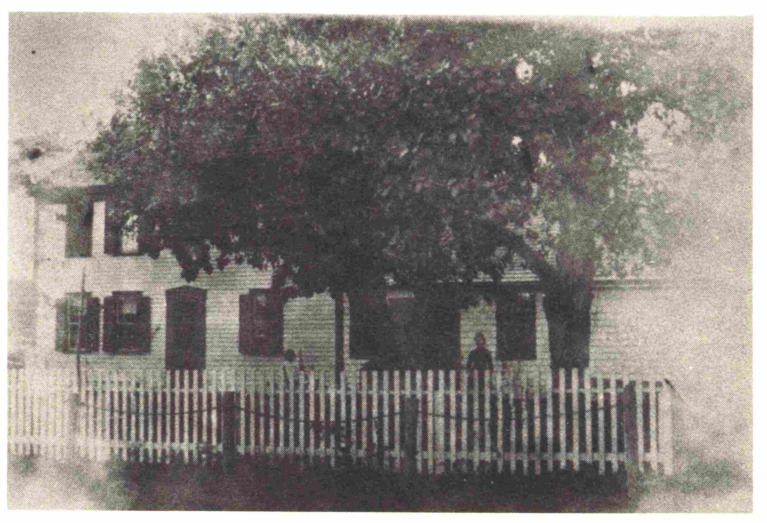 Hitching Posts