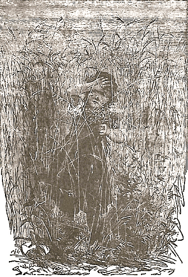 image006