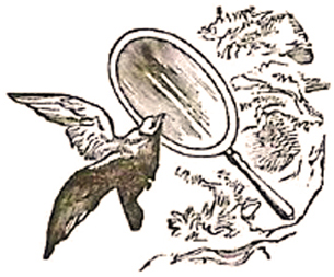 image008