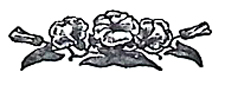 image007