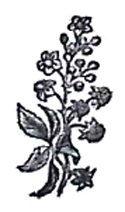 image010