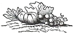 image007