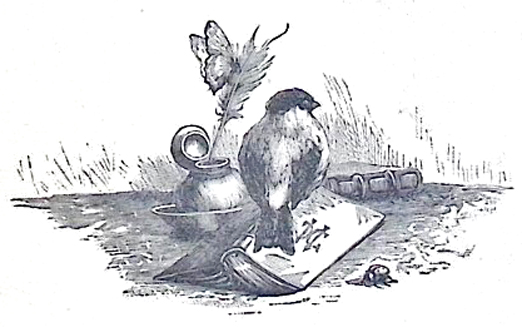 image003