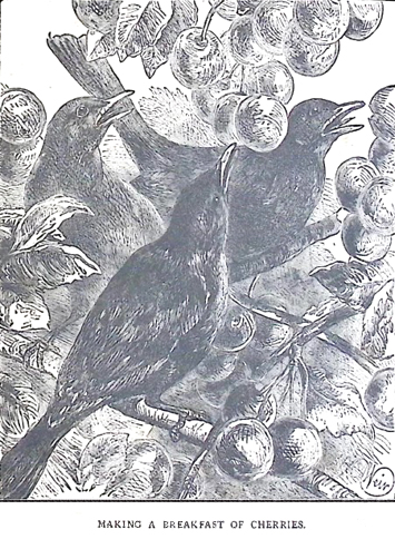 image012