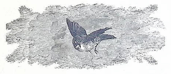 image017