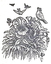 image018