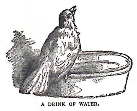 image019