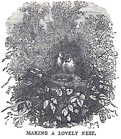 image027