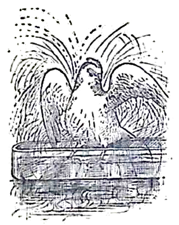image029