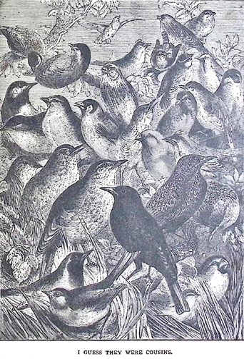 image031