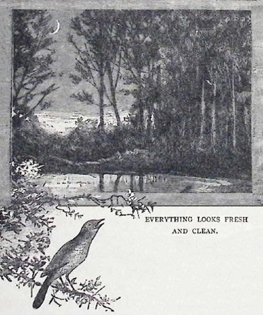 image032