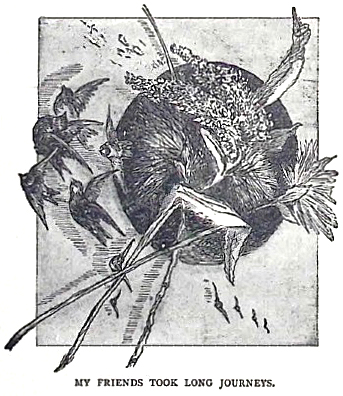 image033