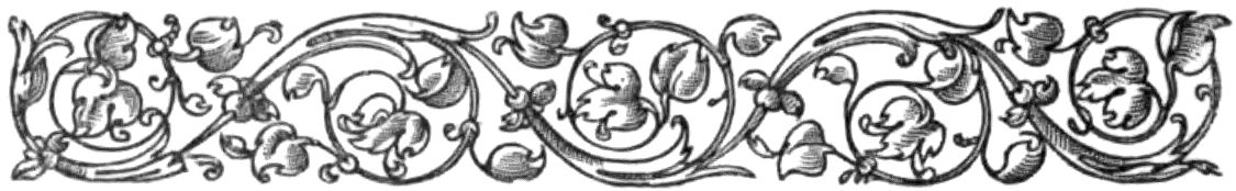 Decorative floral border