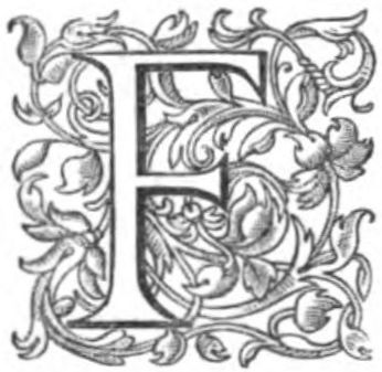Stylized F