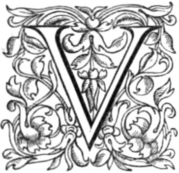 Stylized V