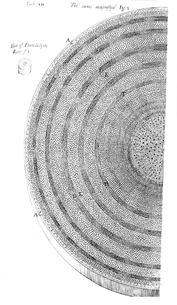 Tab 13