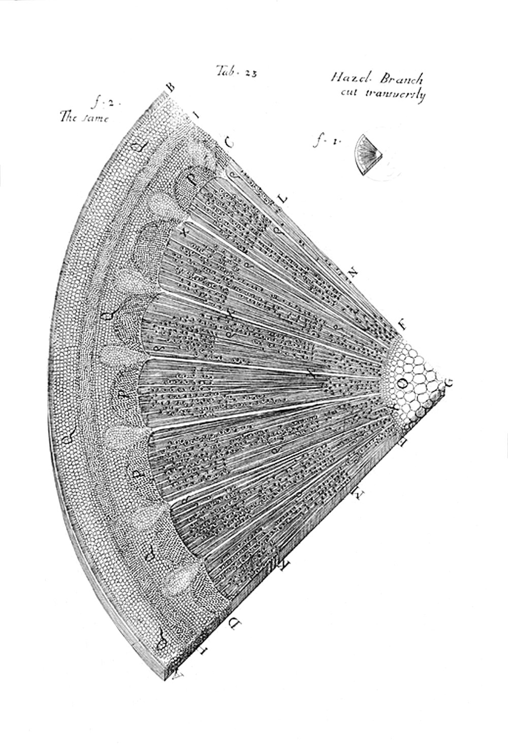 Tab 23