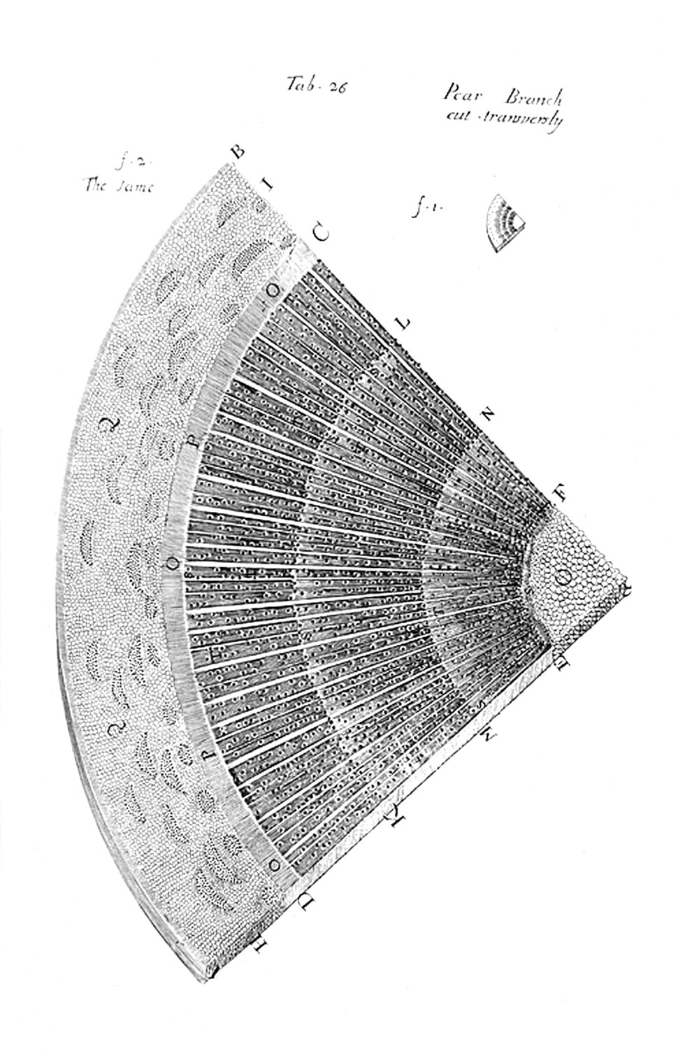 Tab 26