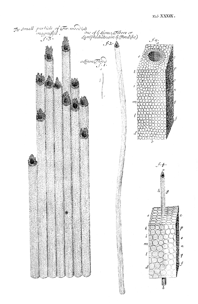 Tab 39