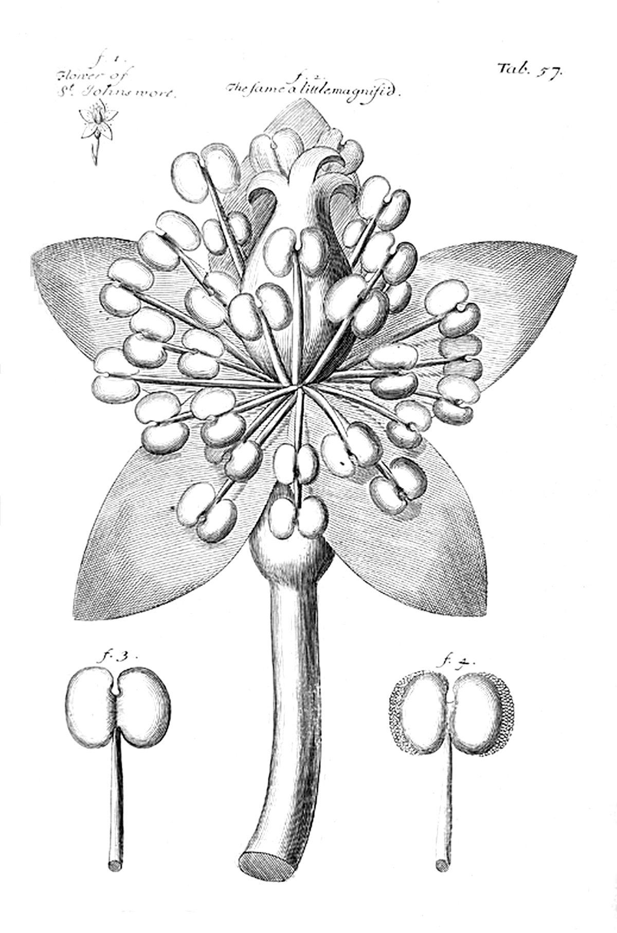 Tab 57