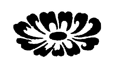 Schmuckbild Blume
