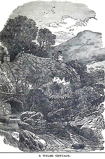 image006