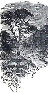 image008