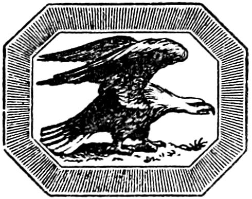 Ornamental American eagle