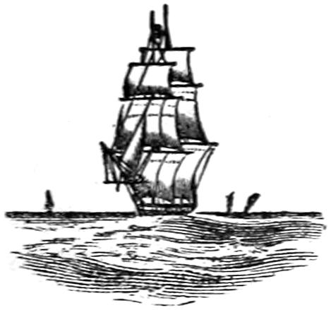 Sailing ship