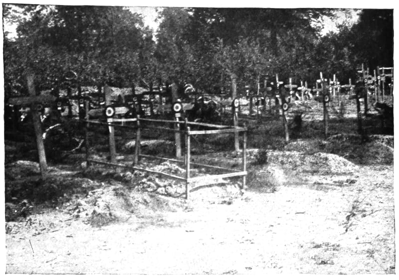 Grave sites near trees with wooden crosses throughout.