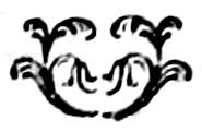 Decorative Image.