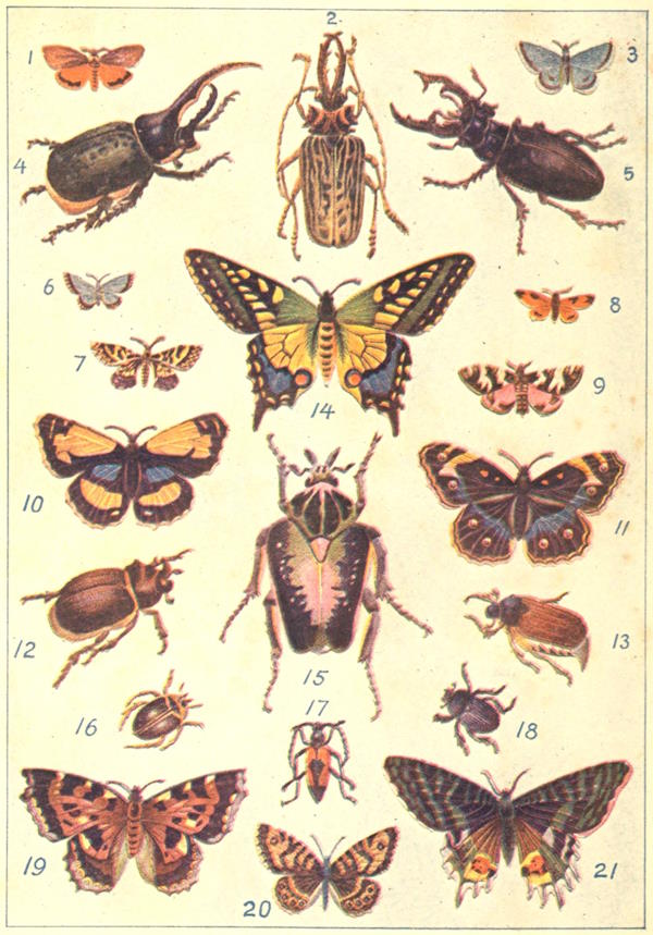 Frontispiece