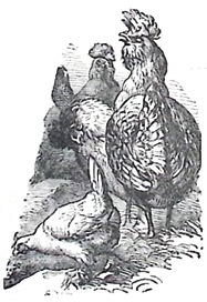 image026
