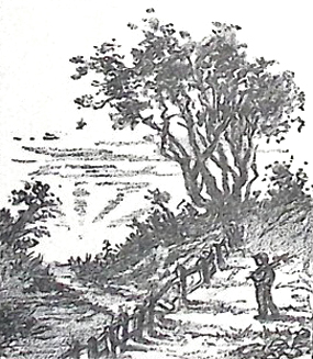 image028