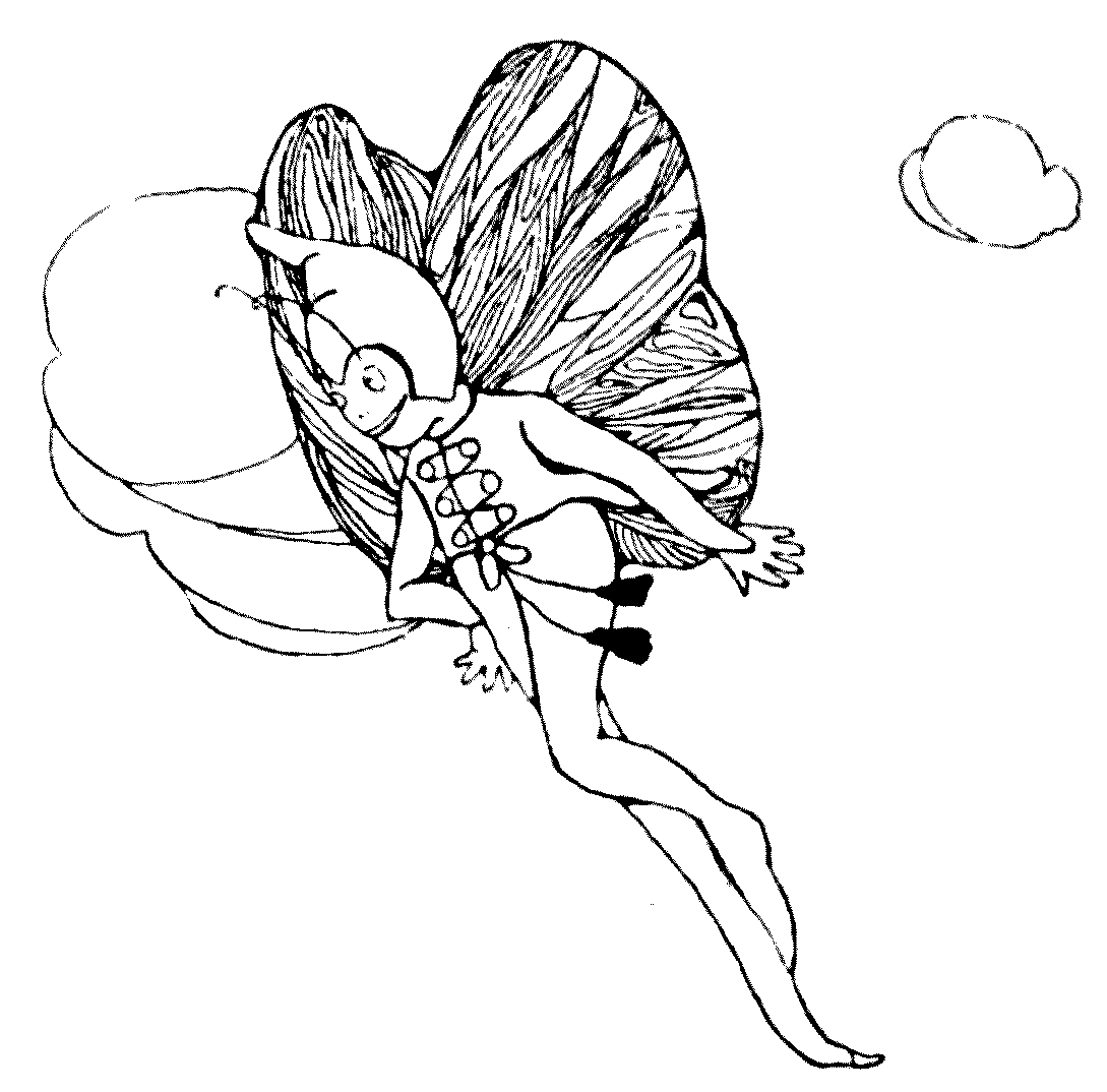 flying elf